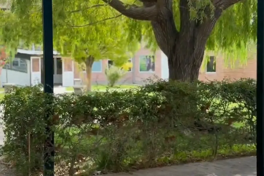 Espacios verdes del campus, con árboles, césped y senderos